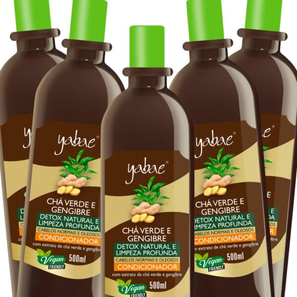 Condicionador Chá Verde e Gengibre 500ml - Yabae | 5 unidades