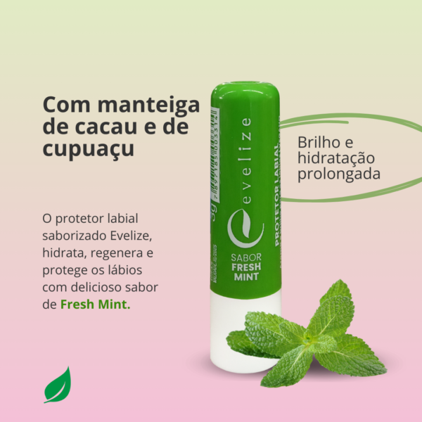 Protetor Labial sabor Fresh Mint - Evelize 3g-Imagem 2