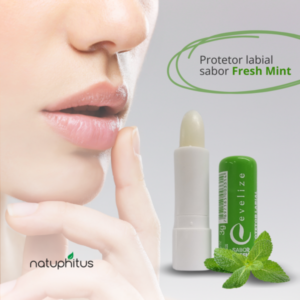 Protetor Labial sabor Fresh Mint - Evelize 3g-Imagem 3