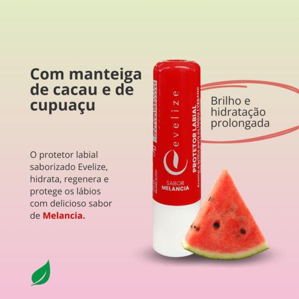 Protetor Labial Sabor Melancia - Evelize 3g-Imagem 2