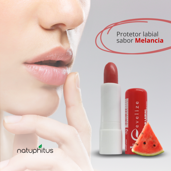 Protetor Labial Sabor Melancia - Evelize 3g-Imagem 3