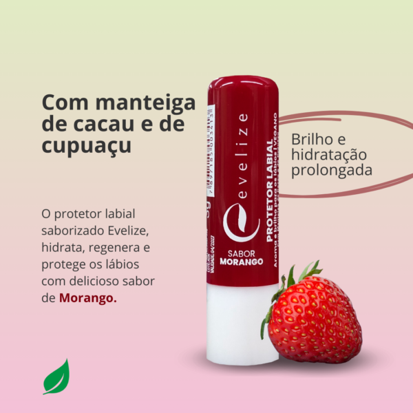 KIT Protetor Labial Manteiga de Cacau e Cupuaçu-Imagem 5