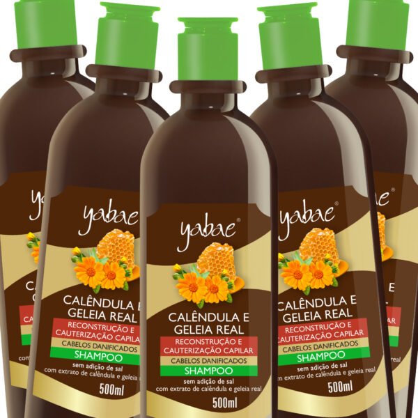 Shampoo Calêndula e Geleia Real 500ml - Yabae | 5 unidades