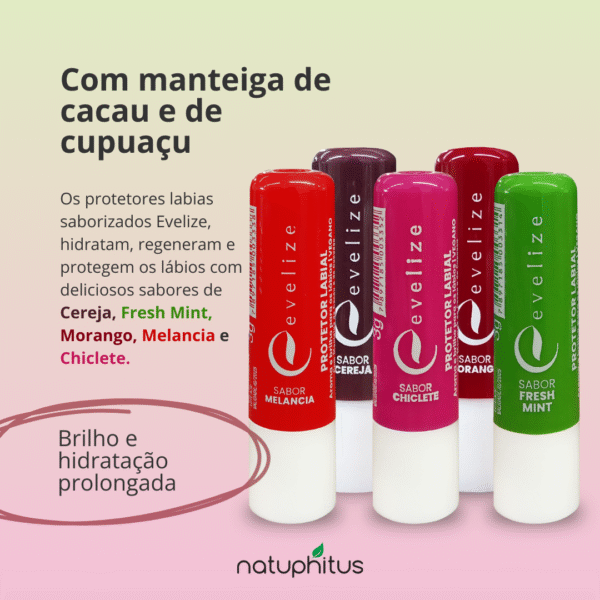 Manteiga de Cacau - Display com 12/24/50 unidades-Imagem 2