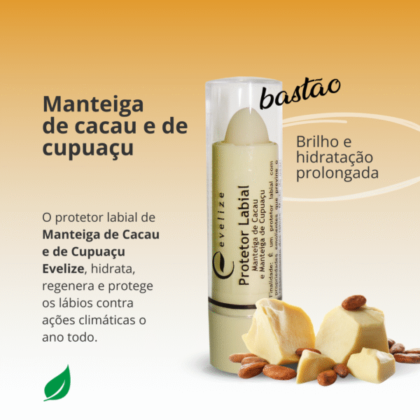 Manteiga de Cacau - Display com 12/24/50 unidades-Imagem 3